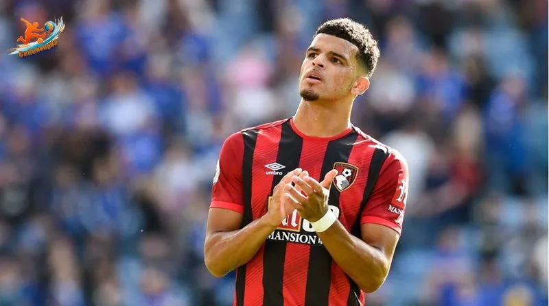 Solanke có bước ngoặt tại Bournemouth