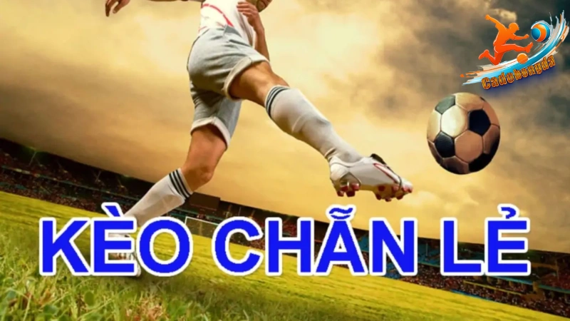 Cách bắt kèo chẵn lẻ dễ thắng