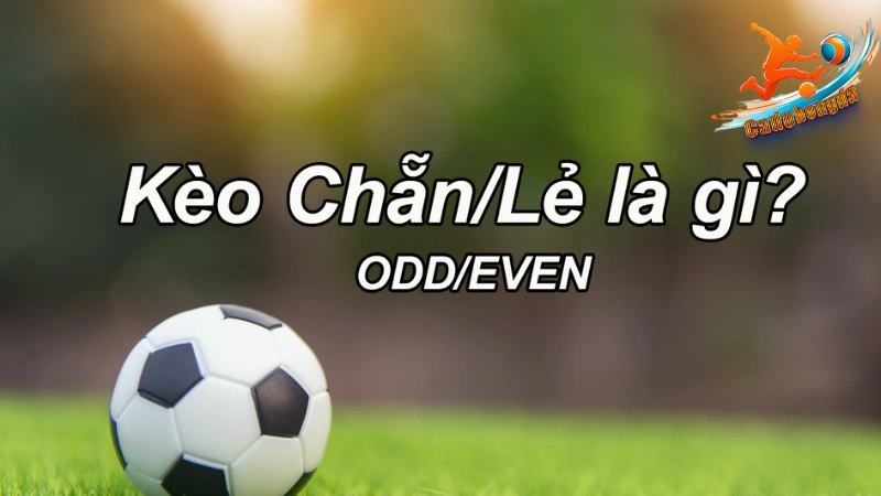 Kèo chẵn lẻ là gì?